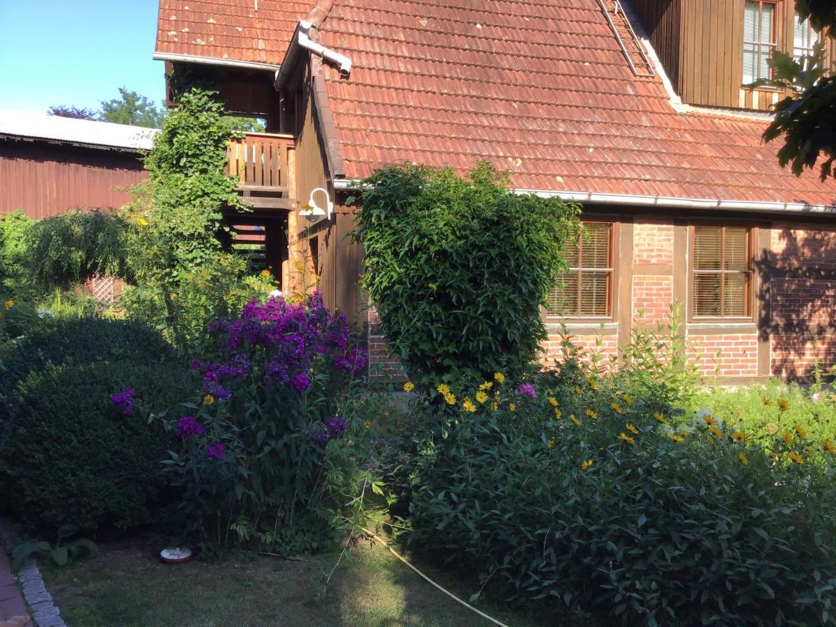 FeWo Jacob m. Sauna Garlstorf  Exterior foto